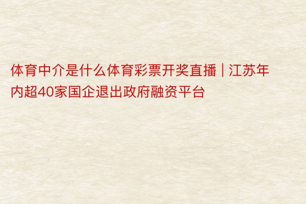 体育中介是什么体育彩票开奖直播 | 江苏年内超40家国企退出政府融资平台