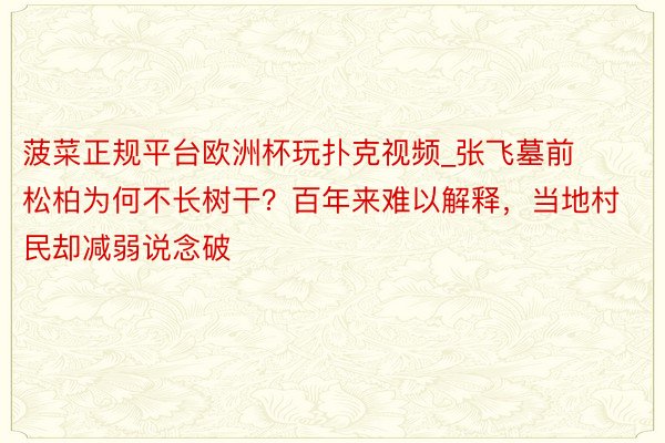 菠菜正规平台欧洲杯玩扑克视频_张飞墓前松柏为何不长树干？百年来难以解释，当地村民却减弱说念破