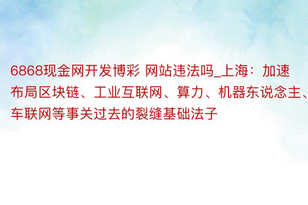 6868现金网开发博彩 网站违法吗_上海：加速布局区块链、工业互联网、算力、机器东说念主、车联网等事关过去的裂缝基础法子